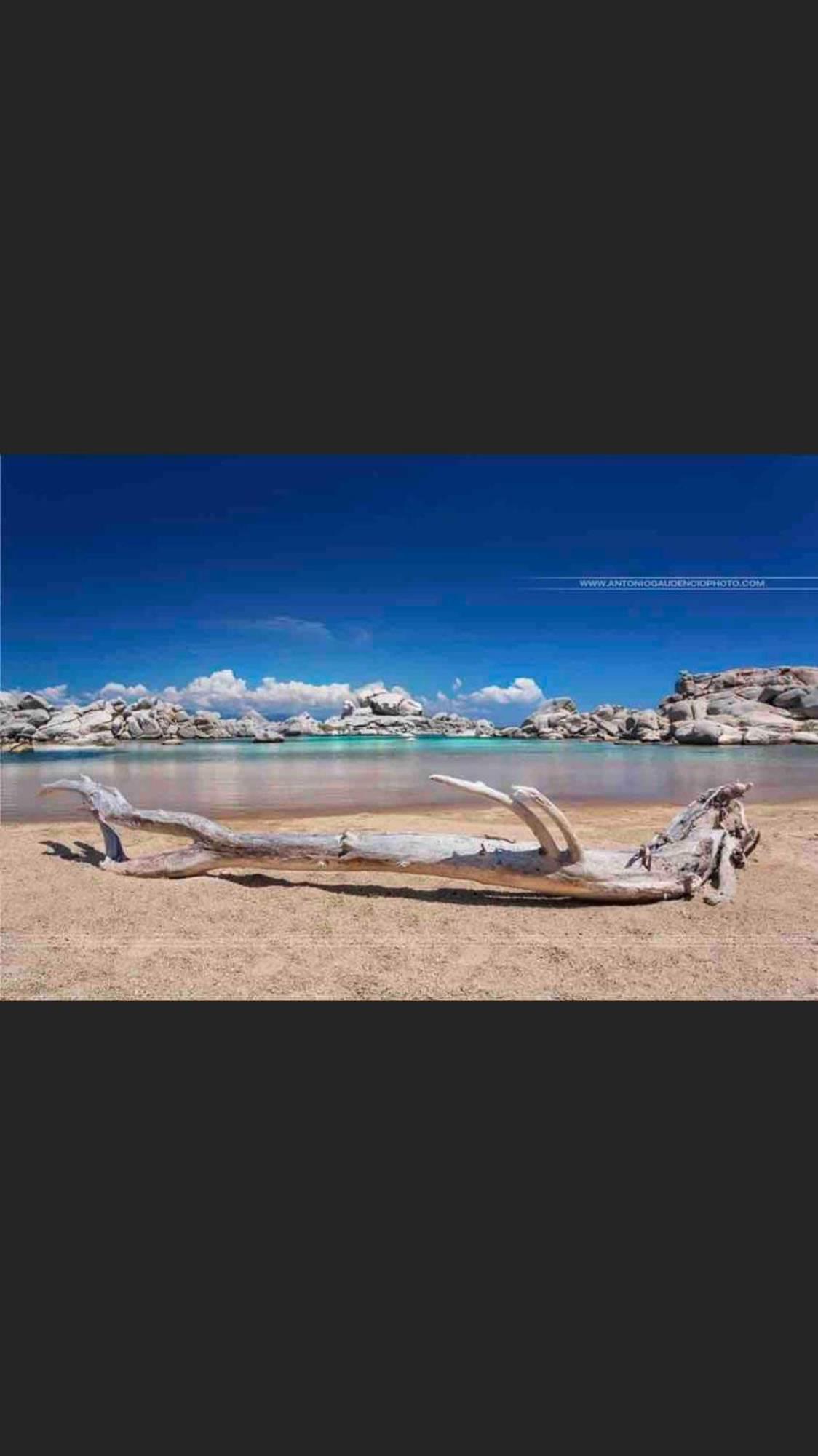 Sud-Corse Bavella Location Montagne Et Mer Sorbollano Exteriér fotografie